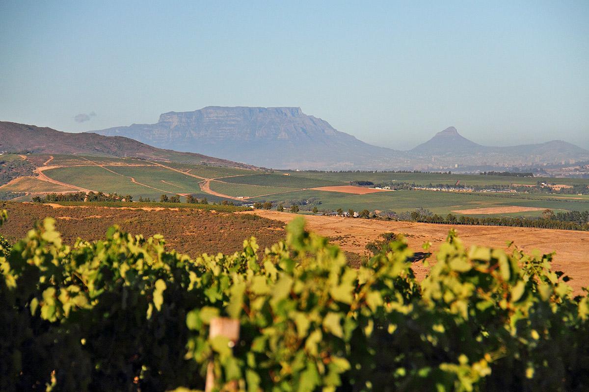 Muratie Wine Estate Stellenbosch Exterior foto