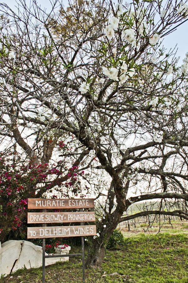 Muratie Wine Estate Stellenbosch Exterior foto